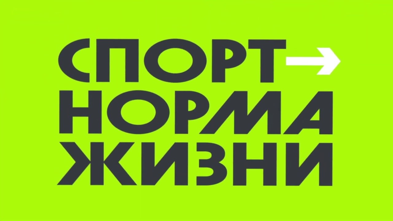 Спорт норма жизни. Спорт норма жизни логотип. Спорт норма жизни брендбук. Проект спорт норма жизни.